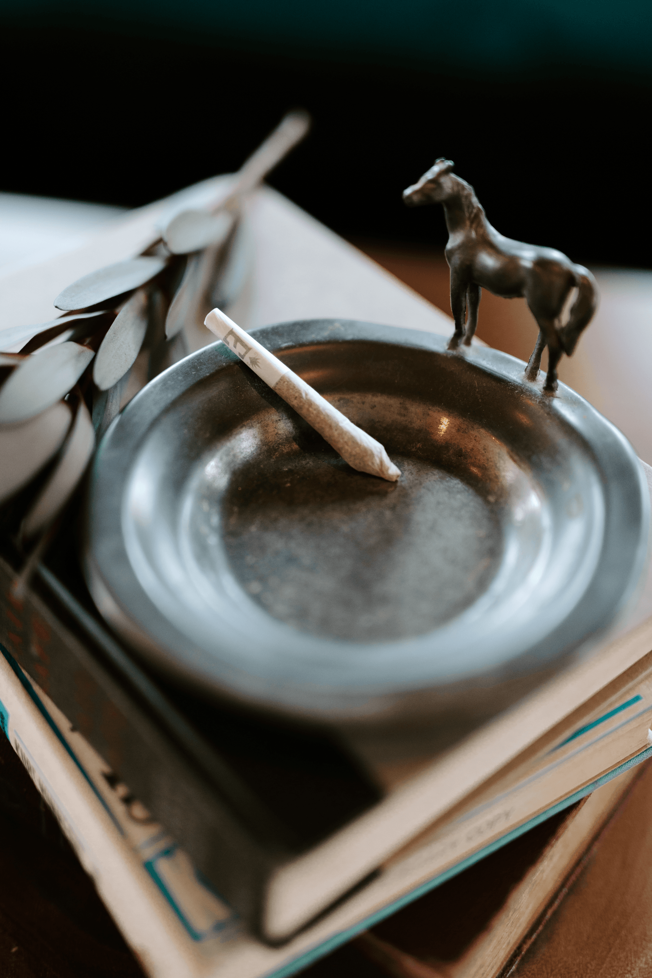 Lifestyle still life